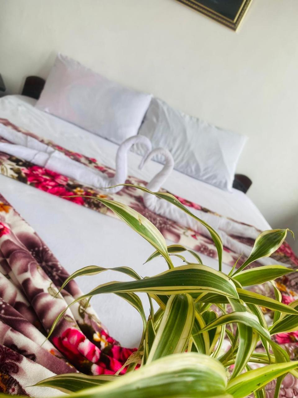 Farah Guest Inn Haputale Extérieur photo